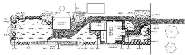 archdrawing1.jpg - large